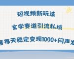 短视频玄学引流暴利实测：单号日引私域50+，矩阵玩法躺赚3000+/天