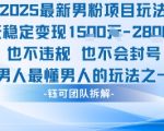 2025私域男粉暴利玩法！日入1K+不违规不封号，男人都在偷偷做的躺赚项目