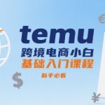 TEMU跨境电商新手零基础速成秘籍：立即上手爆单终极指南