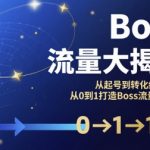2025年BOSS流量引爆终极秘籍：从0到1爆款打造全流程转化揭秘！