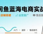 【闲鱼蓝海电商实战】30天狂出1000单！店铺搭建运营售后全流程保姆级拆解