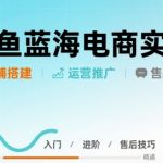 【闲鱼蓝海电商实战】30天狂出1000单！店铺搭建运营售后全流程保姆级拆解
