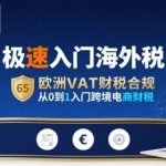 跨境电商欧洲VAT财税合规10步极速精通：2025新手必备终极秘籍