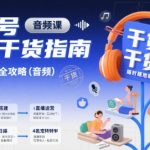 2025视频号直播爆火秘籍：实战干货+音频全攻略