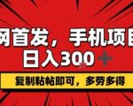 手机赚钱项目日入300+【2024最新】复制粘贴即可操作，支持矩阵放大，轻松无脑暴利揭秘