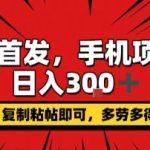 手机赚钱项目日入300+【2024最新】复制粘贴即可操作，支持矩阵放大，轻松无脑暴利揭秘