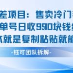 揭秘暴利信息差项目：冷门教程售卖，单人单号日赚900元，复制粘贴零门槛轻松躺赚！