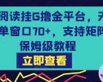 日入300+！零门槛阅读赚钱平台，无风控单窗80+收益，支持多开矩阵，免费保姆级教程【终极揭秘】