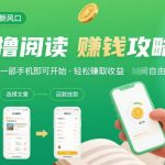 零撸阅读暴利新玩法！一部手机日入1800+，无门槛提现，保姆级教程