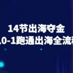跨境电商新手14天日入$1000+：0-1全流程实战教程（限时放送）
