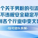 2025男粉引流暴利实测！安全不封号，一招通吃全行业，日引800+精准粉