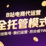 B站全托管代运营暴利项目揭秘：账号交给我们，月入3W+，小白躺赚攻略（附避坑指南）