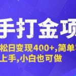 快手打金暴利项目！新手日入400+独家渠道揭秘，零门槛躺赚攻略[[1][5][10][16][17]]