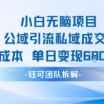零成本公域引流私域变现秘籍：小白无脑日赚680元爆款项目！
