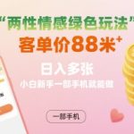 暴利新风口！情感赛道保姆级躺赚教程：单日稳收500+，一部手机零门槛当日见效