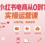 小红书电商10步实操课：新手必学，7天就能赚！