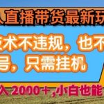 2025淘宝无人直播带货暴利玩法：独家防封技术，全自动挂机躺赚日入2000+揭秘