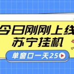 苏宁2025爆款全自动采集挂G神器：单窗口日赚30+元，批量无忧，附保姆级教程【限时揭秘】