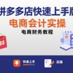 拼多多电商会计实操速成秘籍：3天零基础精通财务教程，月入过万不是梦！