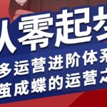 从零起步拼多多运营大师课：7天新店爆款打造，流量暴涨300%！破茧成蝶终极蜕变