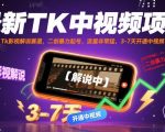 最新TikTok影视解说爆款项目！搬运二创3-7天暴力起号，SEO优化流量爆炸，中视频开通狂赚流量