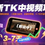 最新TikTok影视解说爆款项目！搬运二创3-7天暴力起号，SEO优化流量爆炸，中视频开通狂赚流量