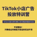 TikTok广告投放流量暴涨500%！6天破局专治投不动，月销百万秘籍限时揭秘