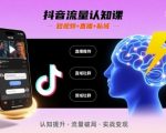 抖音流量暴涨终极秘籍：短视频+直播+私域认知闪电开悟全攻略