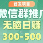 惊人！首发微信群推广项目，无脑日赚300-500元，每单利润10元，轻松15单内幕揭秘！