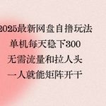 2025终极网盘自撸暴利玩法！单人日赚500+稳如狗，零流量不拉人头，一键矩阵放大全网独门秘籍