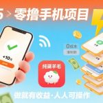 2025年零撸手机暴利项目：20秒一单，日赚200+，纯薅羊毛必看揭秘！