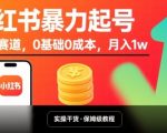 小红书爆款秘籍：0基础0成本小众赛道起号，轻松月入过万+！