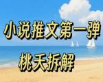 小说推文项目爆款教程第一弹：新手0粉入门轻松日赚百元操作全流程