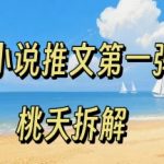小说推文项目爆款教程第一弹：新手0粉入门轻松日赚百元操作全流程