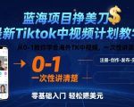 终极TikTok中视频计划教学：从0到1海外赚美元，一次性爆款揭秘！