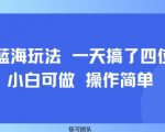 小众蓝海冷门暴利项目！日赚1000+保姆级教程，新手小白当天上手变现