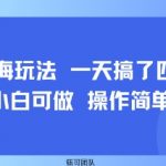 小众蓝海冷门暴利项目！日赚1000+保姆级教程，新手小白当天上手变现