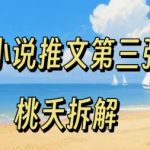 小说推文保姆级教程！0粉能做日赚1000+，新手速来！