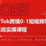 TikTok跨境带货暴利实战：7天起号躺赚攻略！新手必看全链路拆解[[1][3][4][5][6]