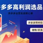 拼多多日销1000+暴利选品技术实战：限时低价标签引爆流量，日赚3000+秘诀全解析！