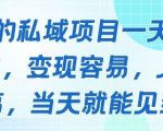 爆！私域新风口：宝妈/学生党日赚2000+实操，当天提现！911 （优化说明：