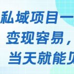 爆！私域新风口：宝妈/学生党日赚2000+实操，当天提现！911 （优化说明：