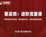 小红薯卖货终极秘籍：开店选品+系统引流技巧，10天暴涨流量快速变现！