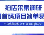 全网独家首码！拍店采集调研项目，零基础小白日入500+，多账号暴利轻松爆赚【揭秘】
