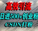 怎么打创业粉？CSDN隐藏引流秘籍，单人日引500+精准流量（亲测有效）