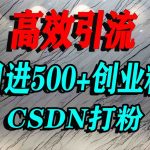 怎么打创业粉？CSDN隐藏引流秘籍，单人日引500+精准流量（亲测有效）