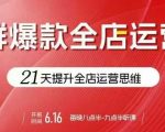 贾真电商运营必学秘籍！21天引爆全店流量，爆款持续输出