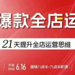 贾真电商运营必学秘籍！21天引爆全店流量，爆款持续输出