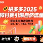 2025拼多多微付费黑科技：日销千单免费流量暴涨攻略！电商运营推广爆品技术