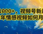 视频号中老年情感暴利玩法！AI一键生成日赚3000+，新手月入5W攻略